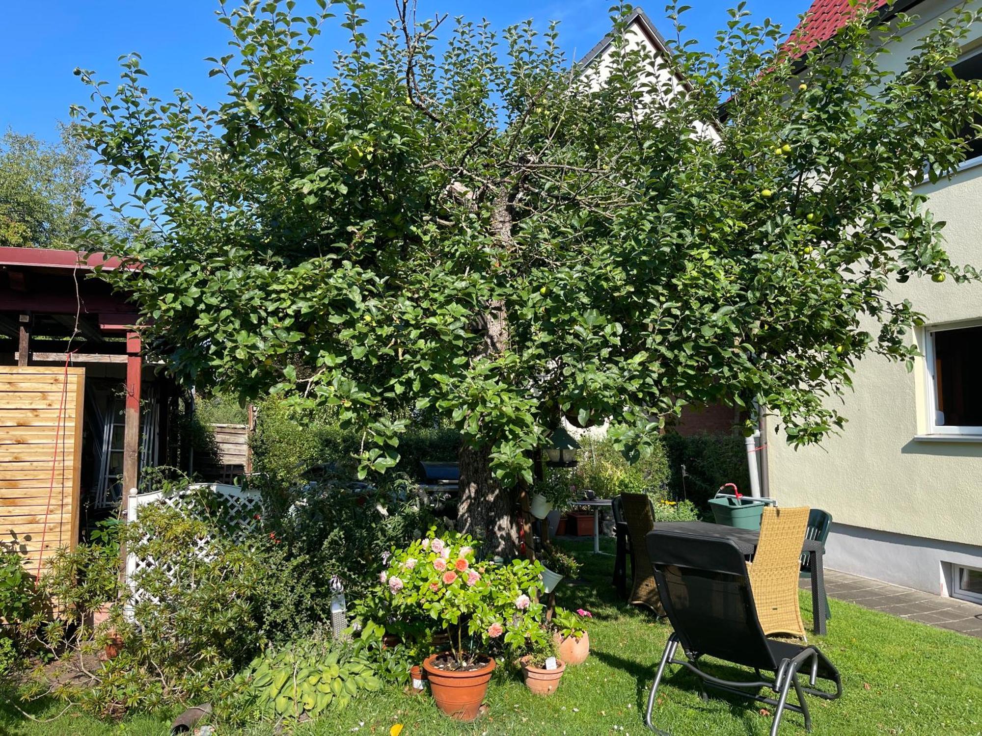 Claudias Apartment - 20 Minuten Bis Messe Nuernberg 외부 사진